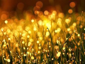 Visuele metafoor voor mentale overbelasting en prikkelverwerking bij hoogbegaafde volwassenen