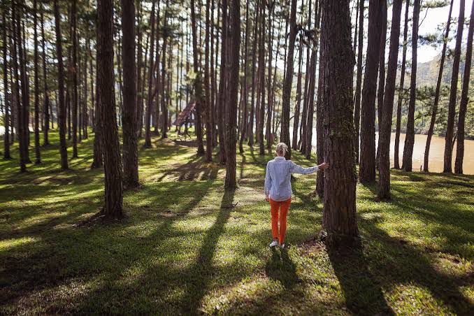 Herstel en rust bij hoogbegaafdheid en burn-out in natuurlijke omgeving