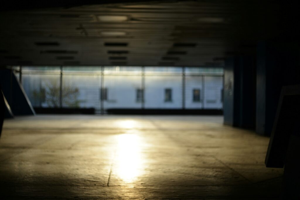 Reflectie en herstel na onderstimulatie bij hoogbegaafde volwassenen