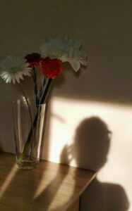 Schaduw van een persoon in zonlicht naast bloemen als metafoor voor de ruime zoektocht rond hoogbegaafdheid en identiteit