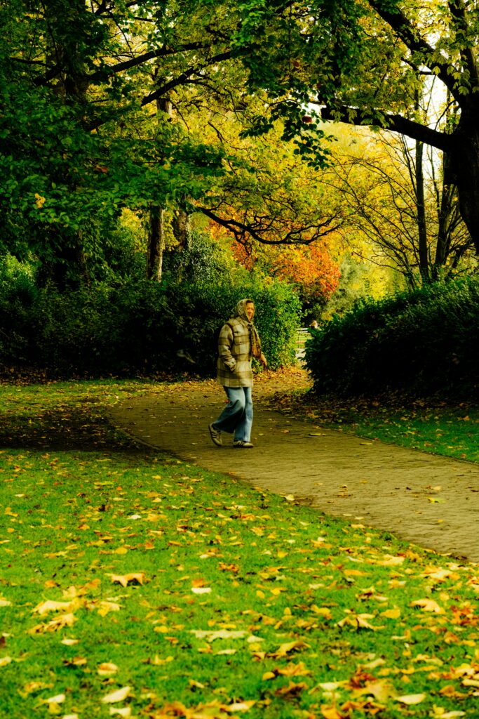 Volwassene die alleen wandelt op een herfstpad als metafoor voor de ontwikkeling van zelfbeeld bij hoogbegaafdheid