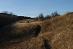 natuurpad in open landschap als metafoor voor loopbaanontwikkeling bij hoogbegaafden