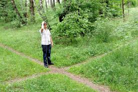 Persoon op een kruispunt in het bos als metafoor voor studiekeuze en talentontwikkeling bij hoogbegaafdheid